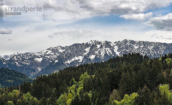 Schneebedeckte Bergkette Zahmer Kaiser vom Wanderweg zum Spitzstein aus gesehen  Erl  Österreich  Europa