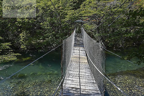 Hängebrücke am Wanderweg zum Glaciar Huemul am Lago del Desierto  bei El Chalten  Patagonien  Argentinien  Südamerika