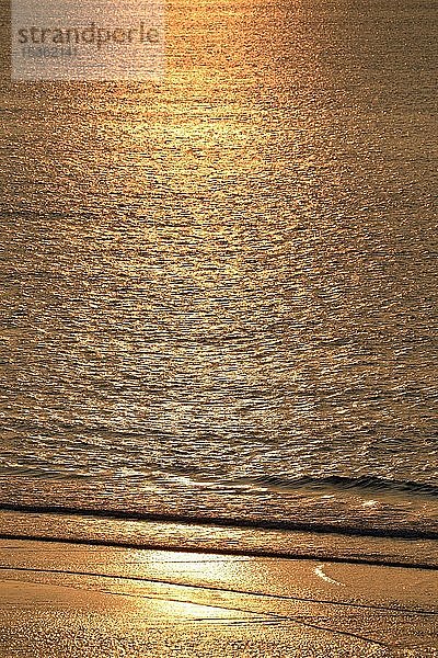 Goldglänzende Wasseroberfläche im Abendlicht mit leichten Wellen  Strand von Wangerooge  Ostfriesische Inseln  Nordsee  Niedersachsen  Deutschland  Europa