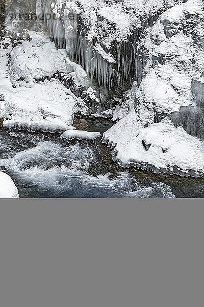 Wildfluss Partnach in der Partnachklamm mit langen Eiszapfen und Schnee im Winter  bei Garmisch-Partenkirchen  Oberbayern  Bayern  Deutschland  Europa