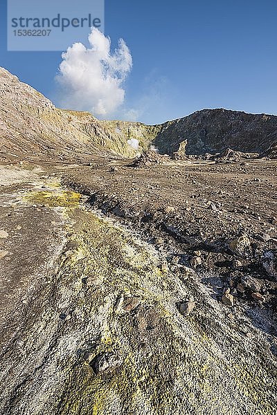 Gelber Schwefel und Fumarolen auf der vulkanischen Insel White Island  Whakaari  Bay of Plenty  Nordinsel  Neuseeland  Ozeanien