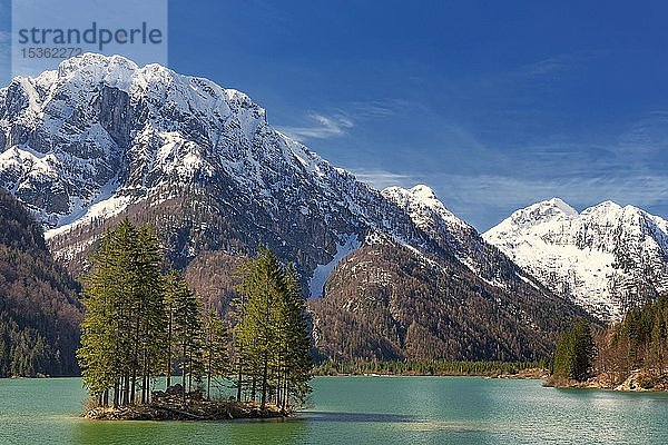 Raibler See mit kleiner Bauminsel  schneebedeckte Berge im Hintergrund  Julische Alpen  Oberkrain  Slowenien  Europa