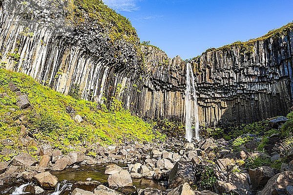 Svartifoss  Skaftafell-Nationalpark  Sudurland  Südisland  Island  Europa