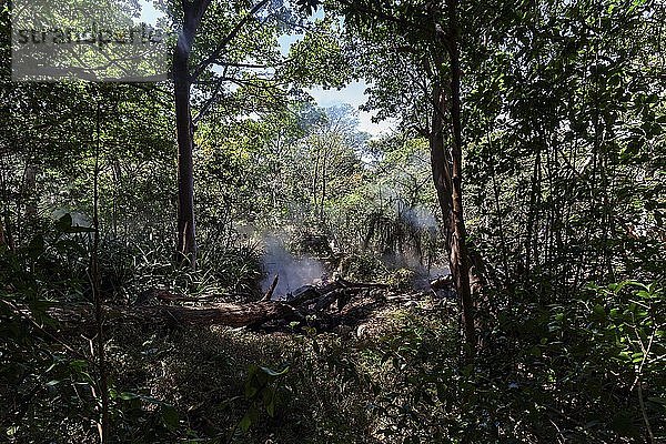 Dampfende Fumarolen im Regenwald des Nationalparks Rincon de la Vieja  Parque Nacional Rincon de la Vieja  Provinz Guanacaste  Costa Rica  Mittelamerika