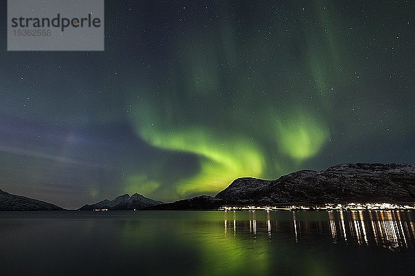 Nordlicht über dem Skulsfjord  Skulsfjord  Tromsö  Norwegen  Europa
