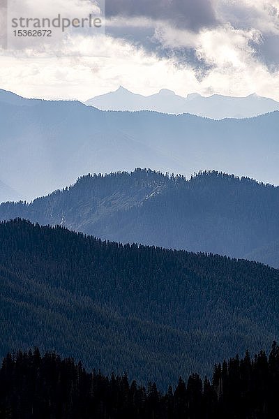 Berglandschaft  Bergsilhouetten  Mount Rainier National Park  Washington  USA  Nordamerika