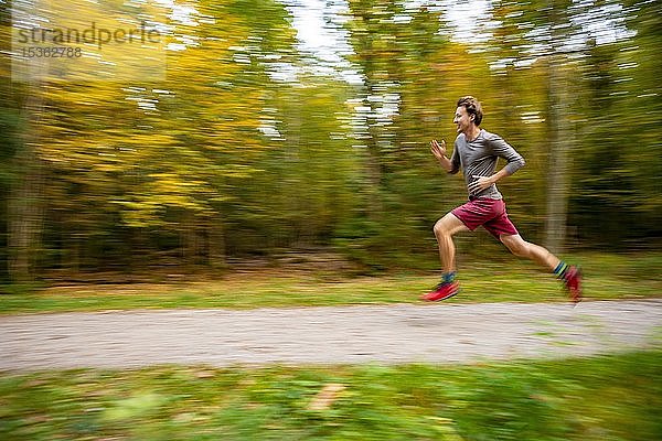 Junger Mann beim Joggen im herbstlichen Wald  Puller  Perlacher Forst  München  Oberbayern  Bayern  Deutschland  Europa