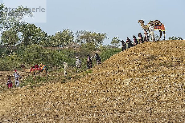 Menschen vom Stamm der Rabari wandern in der Wüste mit einem Dromedar  Great Rann of Kutch  Gujarat  Indien  Asien