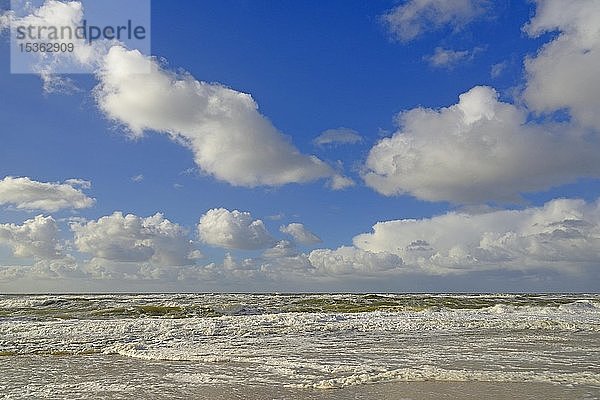Wellen am Sandstrand  blauer Himmel mit Kumuluswolken (Cumulus) über der Nordsee  Kampen  Sylt  Nordfriesische Inseln  Nordfriesland  Schleswig-Holstein  Deutschland  Europa