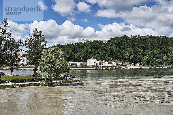 Dreieck  Zusammenfluss von Donau  Inn und Ilz  Passau  Niederbayern  Bayern  Deutschland  Europa