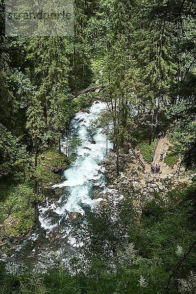 Tiefblick auf den Gollinger Wasserfall  bei Golling an der Salzach  Österreich  Europa