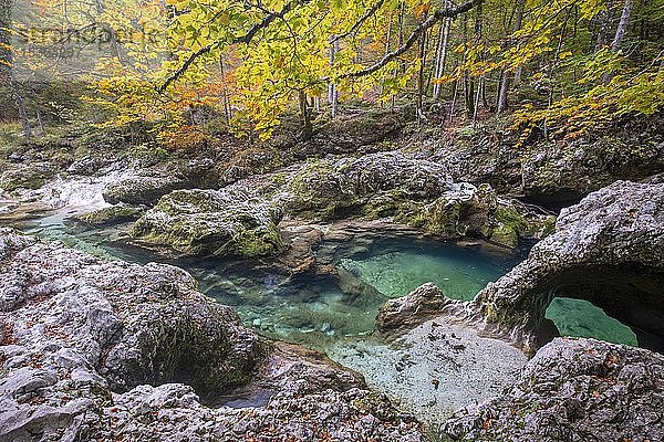 Bizarre Felsformationen am Bergbach Mostnica im Herbst  bei Stara Fuzina  Slowenien  Europa