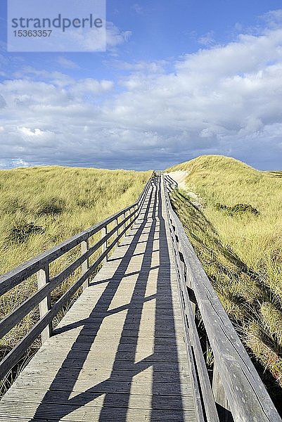 Die Strandpromenade führt durch die Dünen zum Strand bei Kampen  Sylt  Nordfriesische Inseln  Nordsee  Nordfriesland  Schleswig-Holstein  Deutschland  Europa