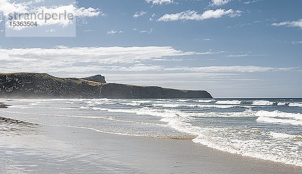 Küste mit Wellen  Wickliffe Bay  Otago Peninsula  Dunedin  Neuseeland  Ozeanien