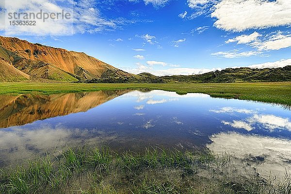 Blauer Himmel und weiße Wolken spiegeln sich in der Wasseroberfläche  überschwemmte Wiese  Landmannalaugar  Hochland  Island  Europa