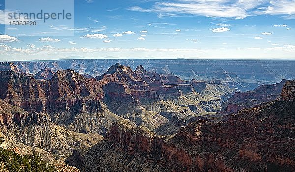 Blick auf die Canyonlandschaft vom Bright Angel Viewpoint  North Rim  Grand Canyon National Park  Arizona  USA  Nordamerika