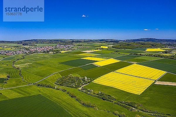 Drohnenaufnahme  Landwirtschaft mit Getreidefeldern und blühenden Rapsfeldern  Usingen  Schwalbach  Hochtaunuskreis  Hessen  Deutschland  Europa