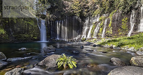 Shiraito-Wasserfall  Fuji-Hakone-Izu-Nationalpark  Präfektur Yamanashi  Japan  Asien