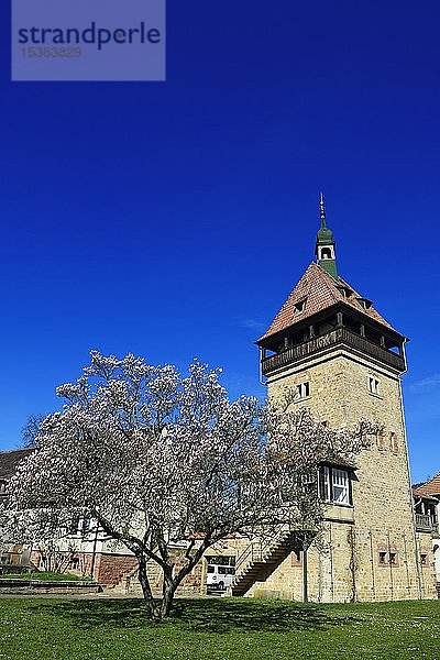 Julius Kühn-Institut für Rebenzüchtung am Geilweilerhof  Siebeldingen  Pfälzer Mandelpfad  Deutsche Weinstraße  Rheinland-Pfalz  Deutschland  Europa