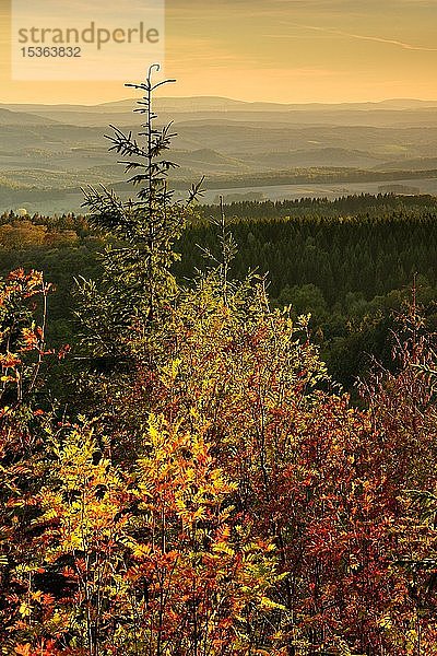 Blick vom Ravensberg über Wälder im Herbst  hügelige Landschaft im Harz  Bad Sachsa  Niedersachsen  Deutschland  Europa