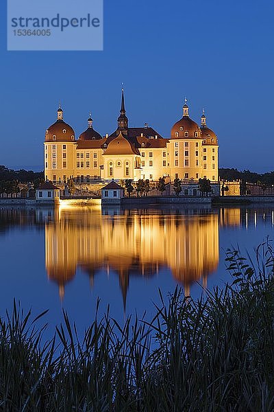 Beleuchtetes Schloss Moritzburg in der Abenddämmerung  Wasserspiegelung im See  Sachsen  Deutschland  Europa