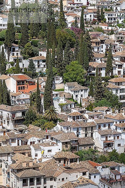 Blick auf die Altstadt  Granada  Andalusien  Spanien  Europa