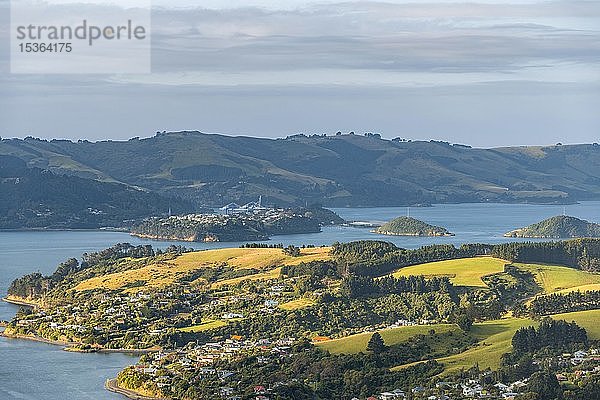 Naturhafen Otago Harbour  Bucht mit hügeliger Landschaft  Otago-Halbinsel  Dunedin  Neuseeland  Ozeanien