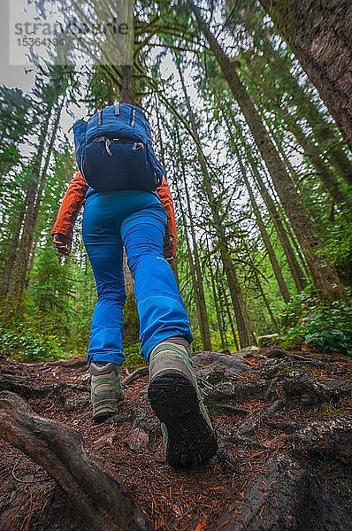 Wanderer auf einem Waldweg  Wanderschuh Nahaufnahme  Washington  USA  Nordamerika