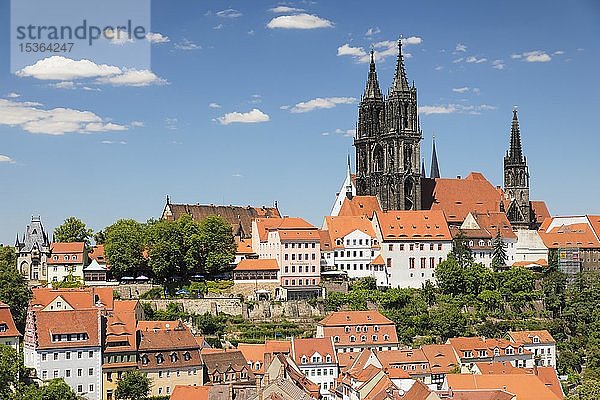 Blick über die Altstadt zum Dom  Meißen  Sachsen  Deutschland  Europa