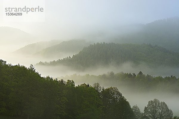 Mittelgebirgslandschaft  Hügellandschaft mit Wäldern im Nebel  Nationalpark Kellerwald-Edersee  Alte und ursprüngliche Buchenwälder der Karpaten und anderer Regionen Europas  Hessen  Deutschland  Europa