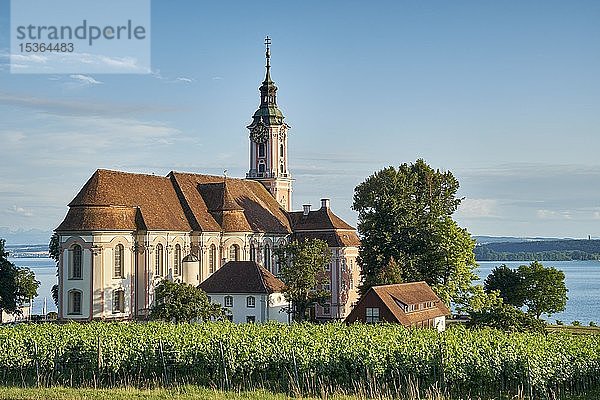 Wallfahrtskirche Birnau mit Weinbergen  Uhldingen-Mühlhofen  Bodensee  Oberschwaben  Baden-Württemberg  Deutschland  Europa