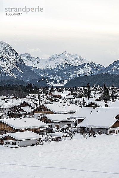 Schneebedeckte Häuser im Winter  Berge im Hintergrund  Wallgau  Oberbayern  Bayern  Deutschland  Europa