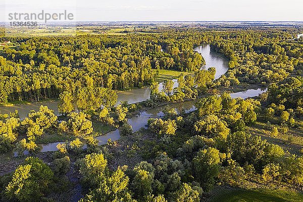 Isar kurz vor der Mündung  Naturschutzgebiet Isarmündung  bei Deggendorf  Niederbayern  Bayern  Deutschland  Europa