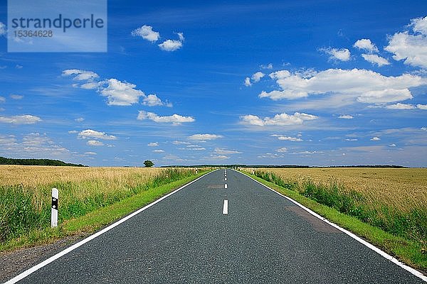 Landstraße durch Felder im Sommer  führt direkt zum Horizont  blauer Himmel mit Wolken  schönes Wetter  Sachsen-Anhalt  Deutschland  Europa