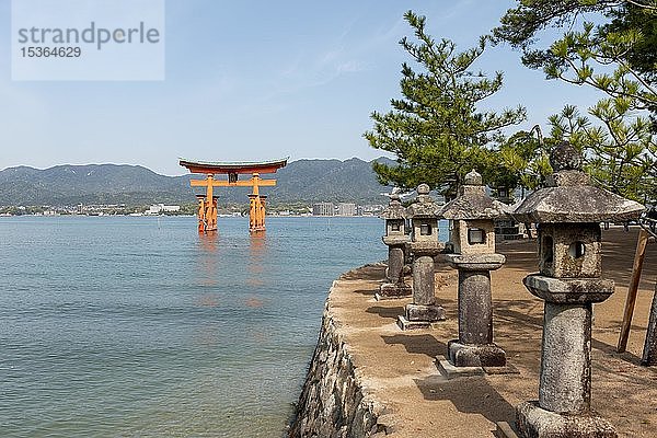 Schwimmendes Itsukushima-Torii-Tor im Wasser  Isukushima-Schrein  Miyajima-Insel  Hiroshima-Bucht  Japan  Asien