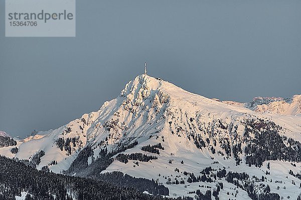 Kitzbüheler Horn mit Schnee im Winter  Blick von Brixen im Thale  Tirol  Österreich  Europa