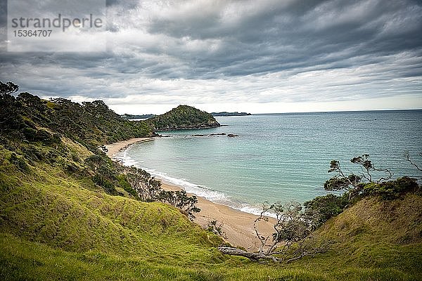 Strand und Bucht Daisy Bay  Northland  Nordinsel  Neuseeland  Ozeanien