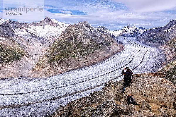 Blick auf den Grossen Aletschgletscher  Kanton Wallis  Schweiz  Europa