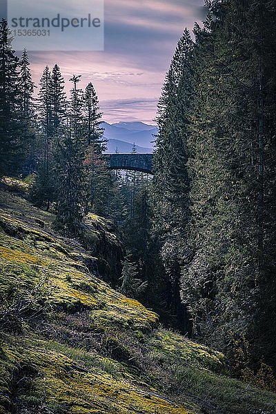 Brücke über Schlucht  Stevens Canyon  Morgenstimmung  Mount Rainier National Park  Washington  USA  Nordamerika