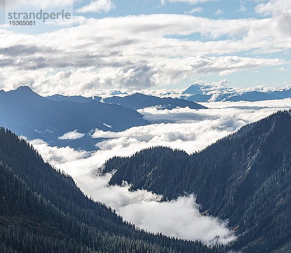 Blick vom Artist Point  Berglandschaft in Wolken  Mount Baker-Snoqualmie National Forest  Washington  USA  Nordamerika