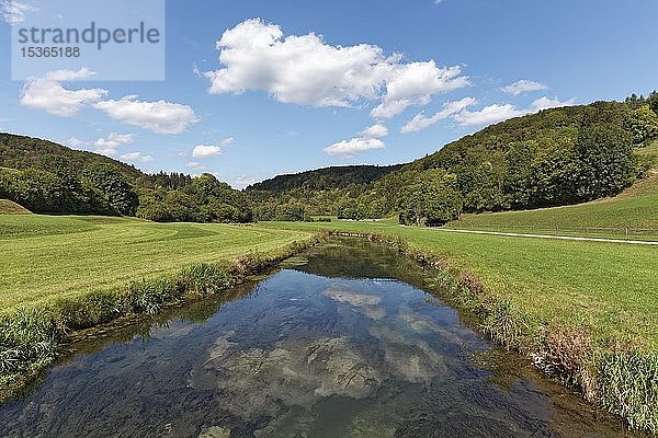Sommerlandschaft mit Wiesen und Bächen  Tal der Zwiefalter Aach  Zwiefalten  Oberschwaben  Baden-Württemberg  Deutschland  Europa