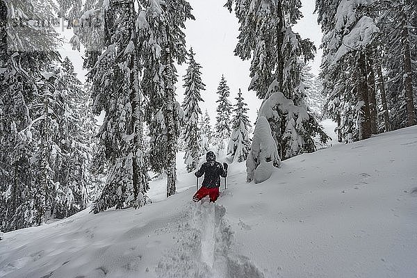 Junger Mann läuft durch tiefen Schnee  Winterwanderung  tiefer Schnee im Wald  Brixen im Thale  Tirol  Österreich  Europa