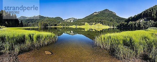 Berge spiegeln sich im Spitzingsee  Mangfallgebirge  Bayerische Alpen  Oberbayern  Bayern  Deutschland  Europa