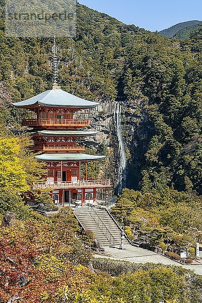 Nachi-Wasserfall hinter der Pagode des Seigantoji-Tempels  Nachisan  Wakayama  Japan  Asien