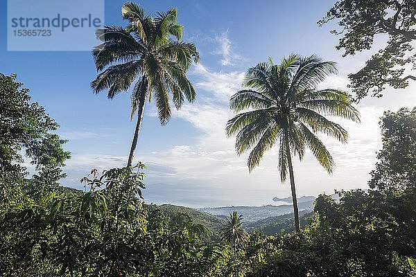 Grüne Vegetation  Blick auf die Küste bei Dili  Osttimor  Ozeanien