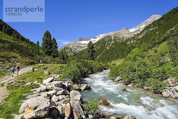 Wanderer am Zamserbach  Zamser Grund  Ameiskopf und Schrammacher  Zillertaler Alpen  Zillertal  Tirol  Österreich  Europa