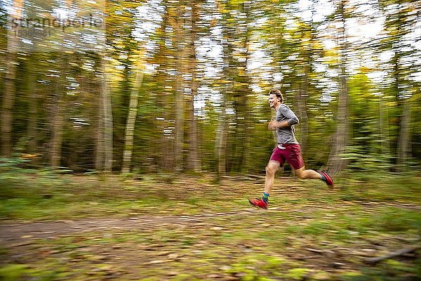 Junger Mann beim Joggen im herbstlichen Wald  Puller  Perlacher Forst  München  Oberbayern  Bayern  Deutschland  Europa