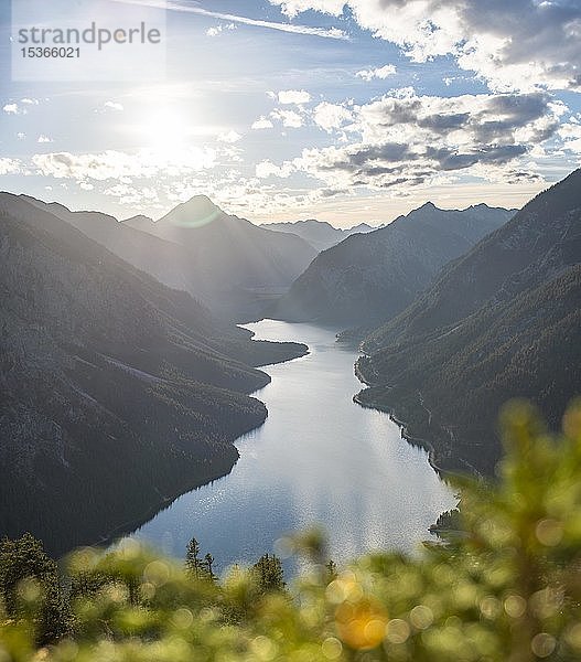 Blick vom Schönjöchl auf den Plansee  umgeben von Bergen  Tirol  Österreich  Europa