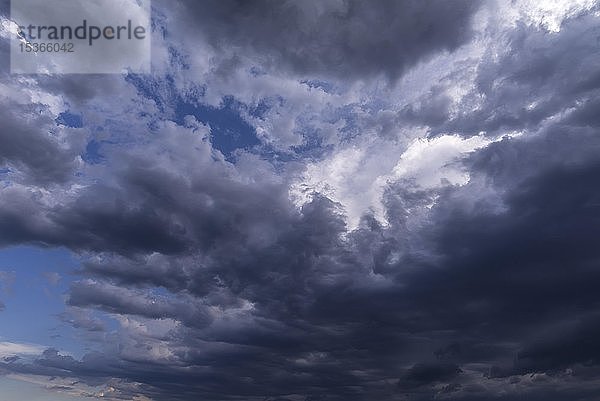 Aufsteigende Regenwolken (Nimbostratus)  Bayern  Deutschland  Europa