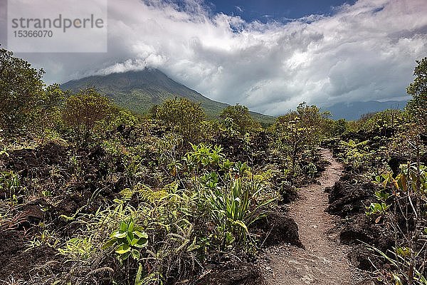 Wanderweg durch Lavafeld  hinterer Vulkan Arrenal in Wolken  Nationalpark Vulkan Arenal  Parque Nacional Volcan Arenal  Provinz Alajuela  Costa Rica  Mittelamerika